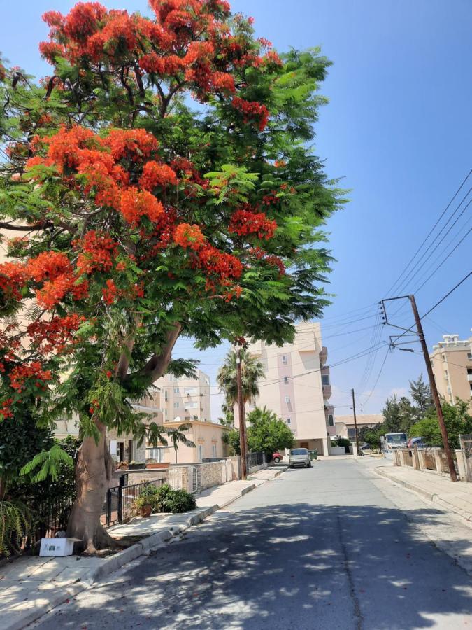 Large Apt 2 Bedrooms Sea View & 2 Balconies Larnaca Buitenkant foto